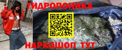 ECSTASY Новодвинск